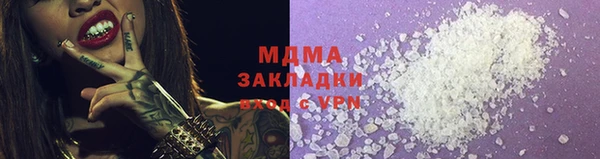 шишки Белокуриха