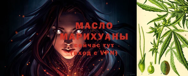 шишки Белокуриха