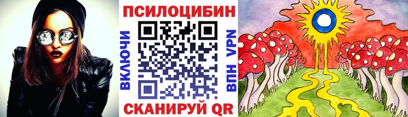 где можно купить наркотик  Велиж  Галлюциногенные грибы мухоморы 