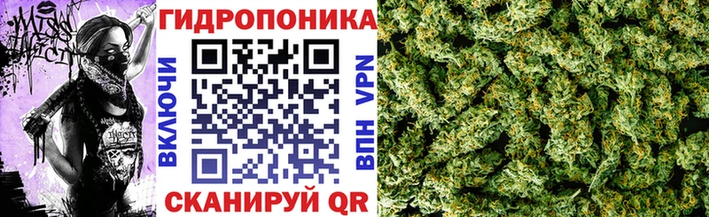 Канабис White Widow  Велиж 